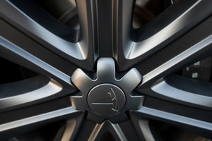 TESPLUS 19'' Arachnid Style Wheel Cover for Model S/Y