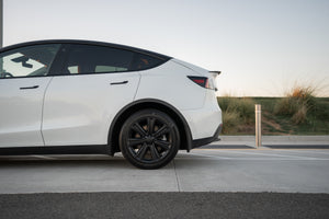 TESPLUS 19'' Arachnid Style Wheel Cover for Model S/Y