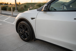 TESPLUS 19'' Arachnid Style Wheel Cover for Model S/Y