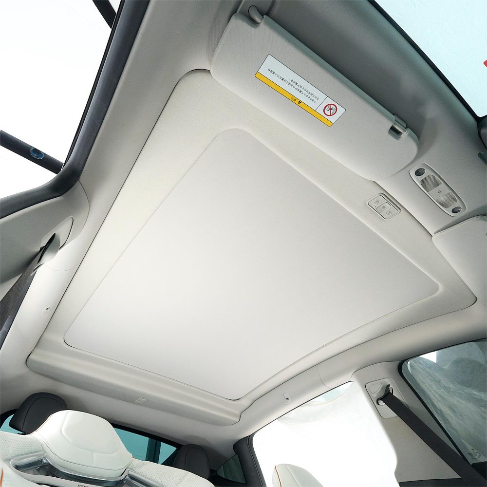 Model Y Sunshade