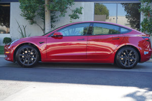 TESPLUS 18'' Arachnid Style Wheel Cover for Model 3