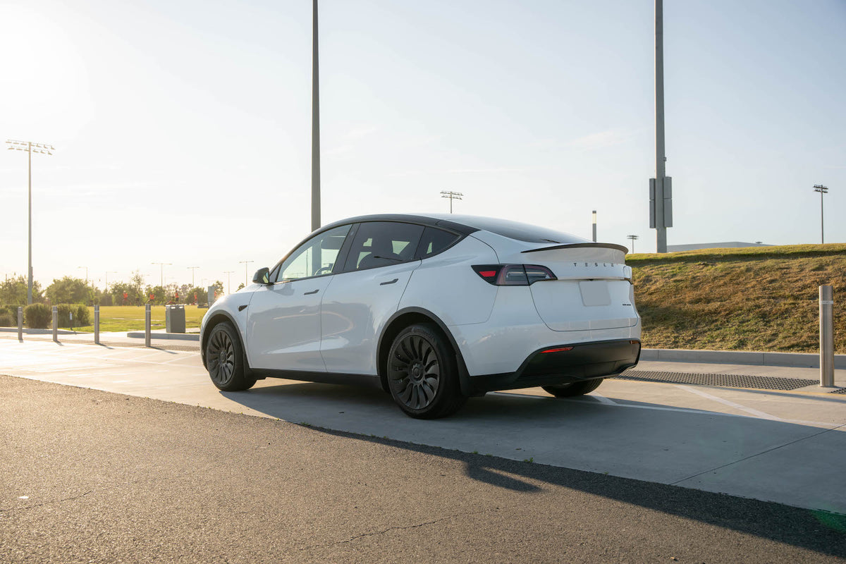 TESPLUS 19'' Hurricane Style Wheel Cover for Model Y