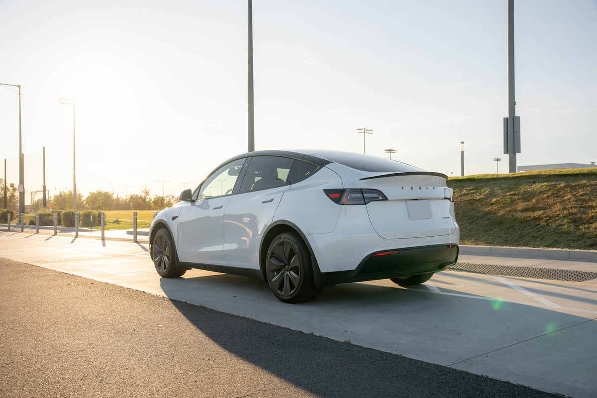 TESPLUS 19'' Tempest Style Wheel Cover for Model Y