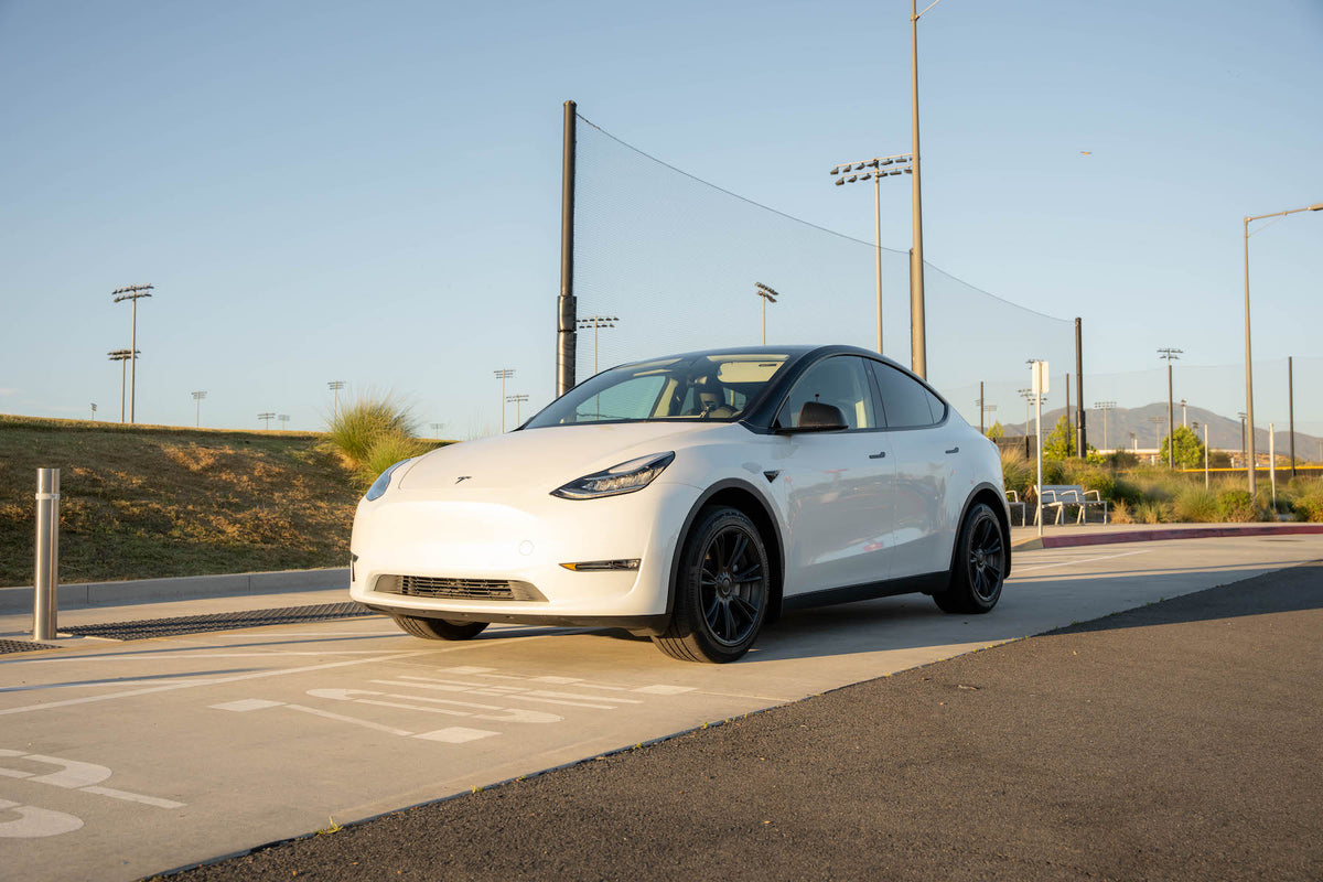 TESPLUS 19'' Original Sport Style Wheel Cover for Model Y