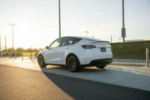 TESPLUS 19'' Hurricane Style Wheel Cover for Model Y