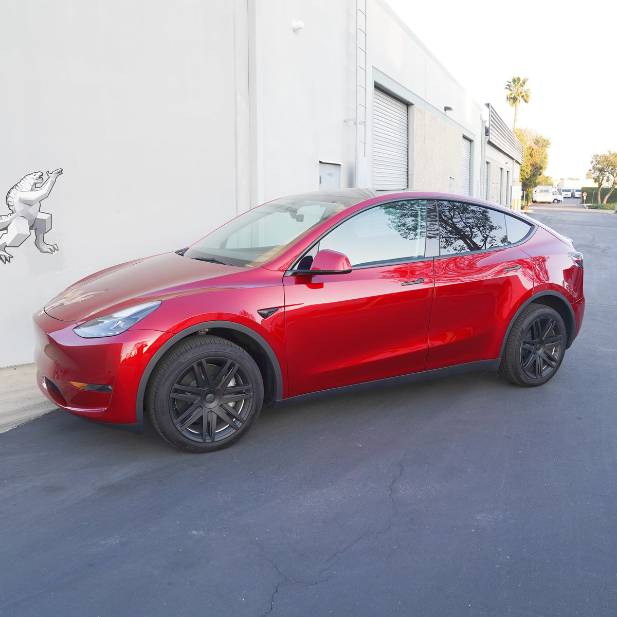 TESPLUS 19'' Star Style Wheel Cover for Model Y