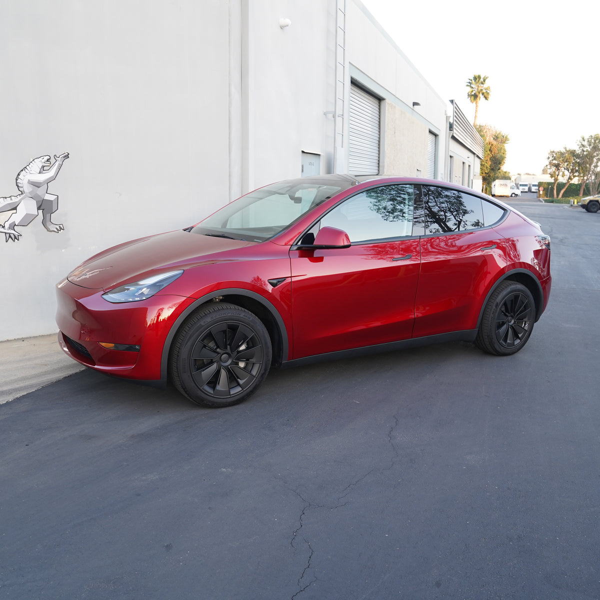 TESPLUS 19'' Warp Style Wheel Cover Black for Model Y