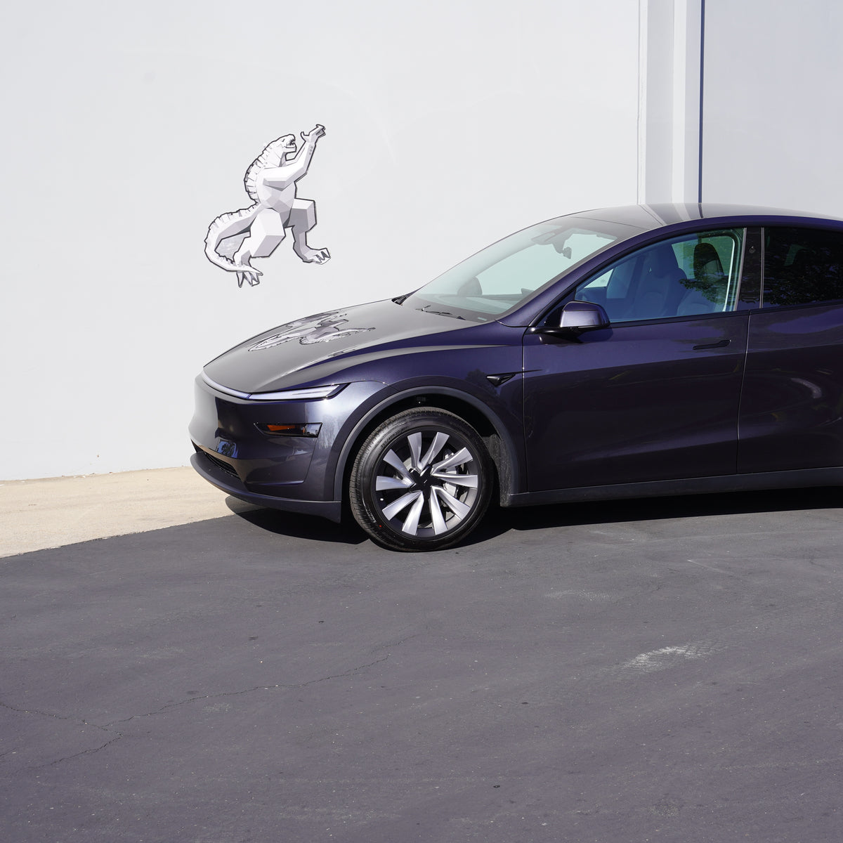 TESPLUS 20'' Helix 2.0 Rim Protector - Black for Model Y Juniper