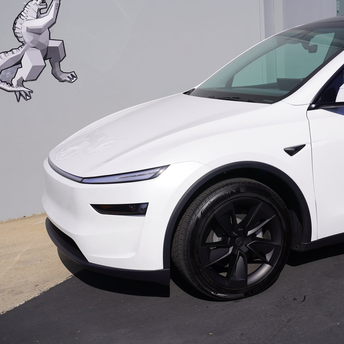 TESPLUS 19'' WARP Style Wheel Cover Black For Model Y Juniper