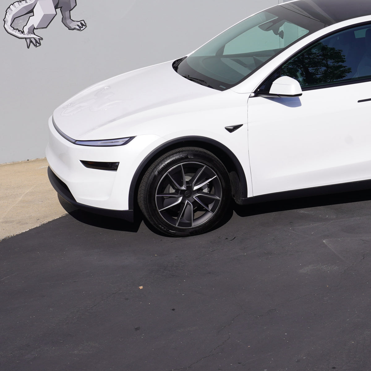 TESPLUS 19'' WARP Style Wheel Cover Silver For Model Y Juniper