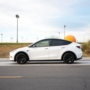 TESPLUS 19'' Romeo Style Wheel Cover for Model Y