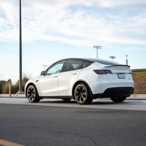 TESPLUS 19'' Romeo Style Wheel Cover for Model Y