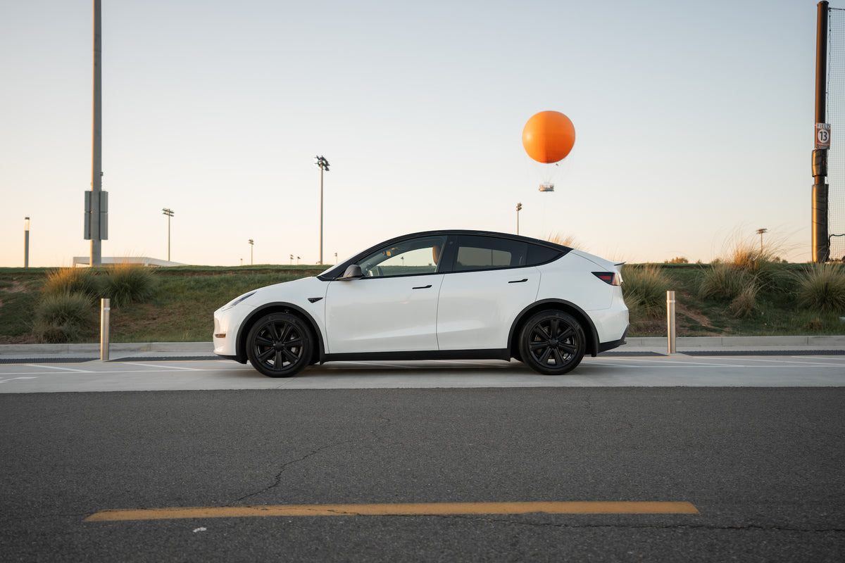 TESPLUS 19'' Arachnid Style Wheel Cover for Model S/Y