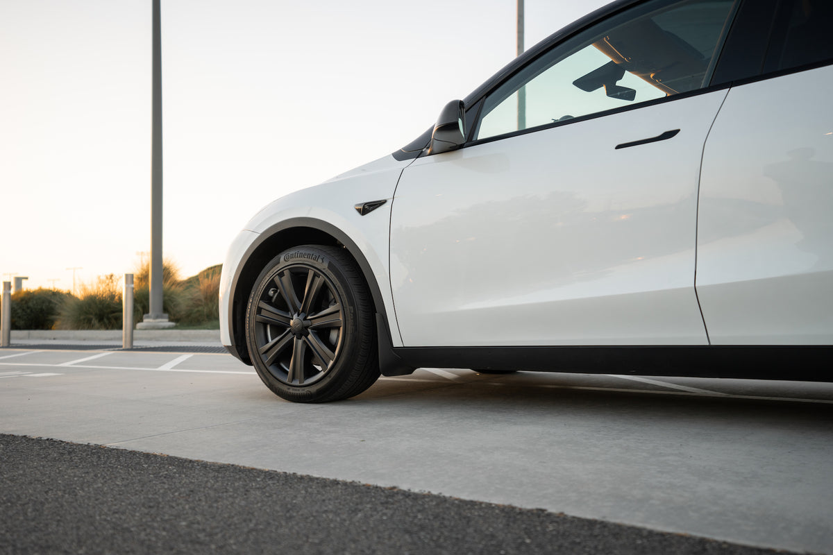 TESPLUS 19'' Arachnid Style Wheel Cover for Model S/Y