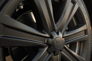 TESPLUS 19'' Arachnid Style Wheel Cover for Model S/Y