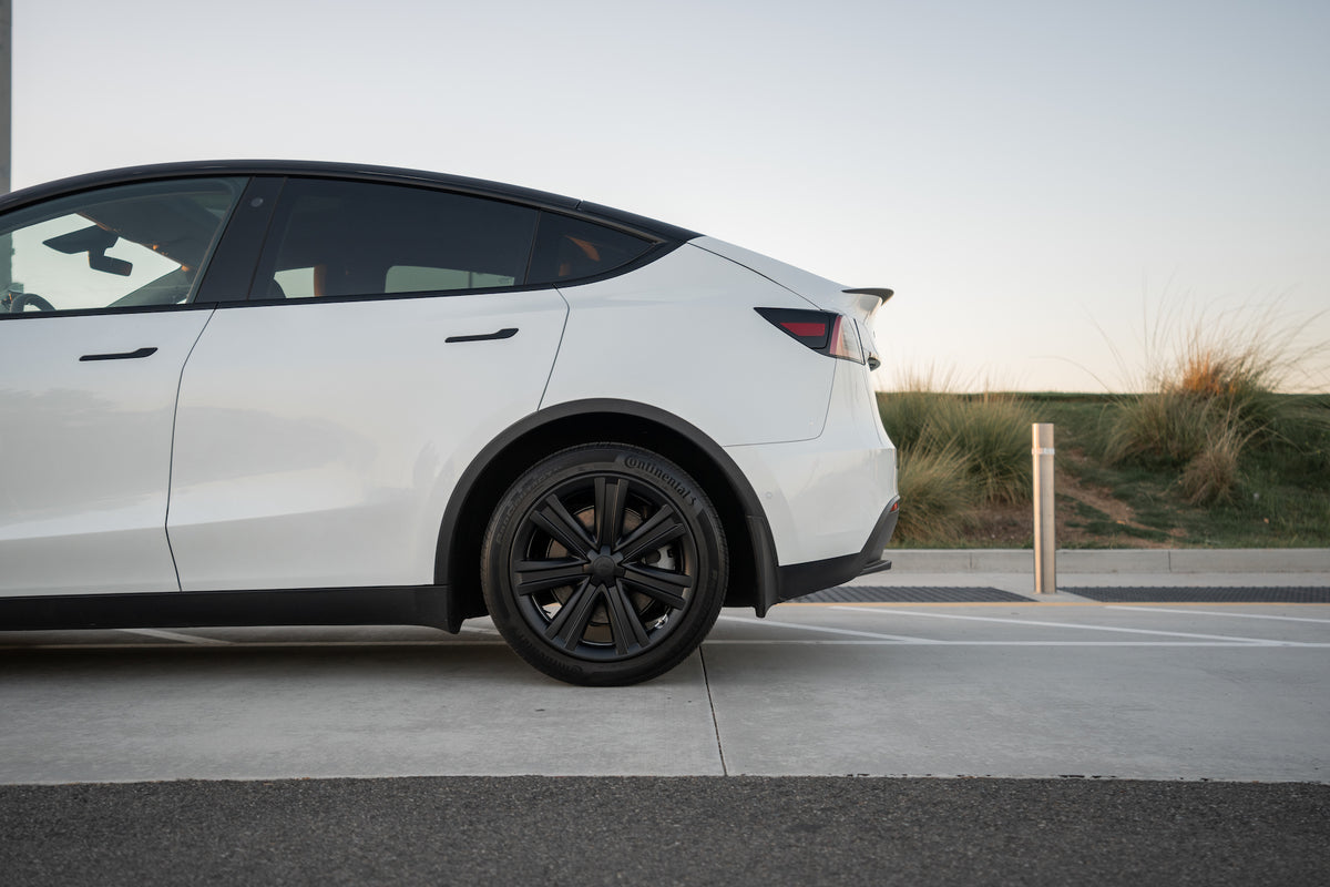 TESPLUS 19'' Arachnid Style Wheel Cover for Model S/Y