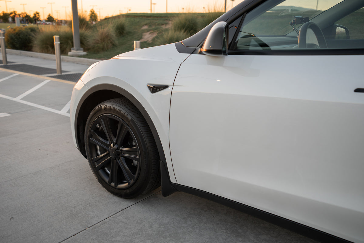 TESPLUS 19'' Arachnid Style Wheel Cover for Model S/Y