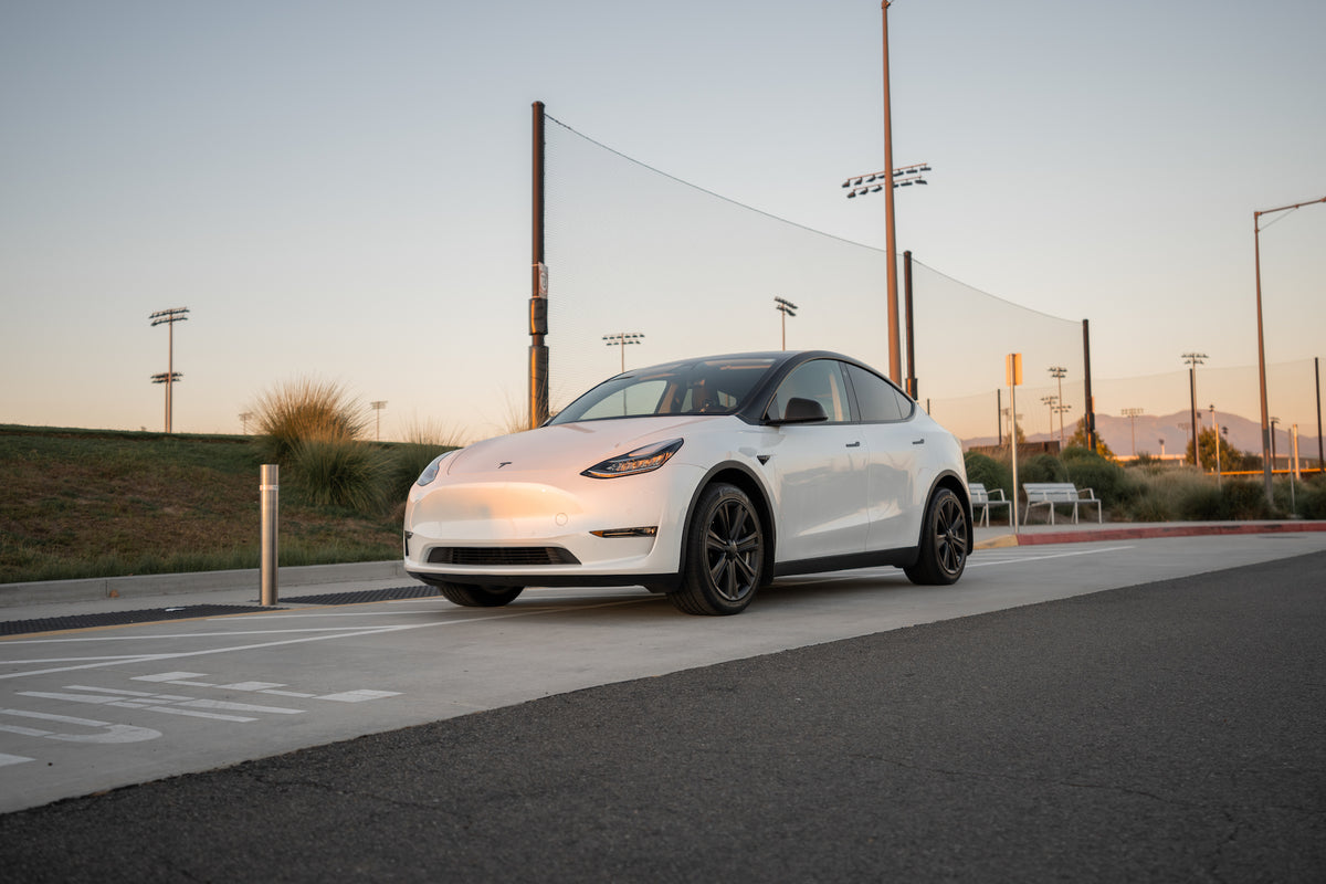 TESPLUS 19'' Arachnid Style Wheel Cover for Model S/Y