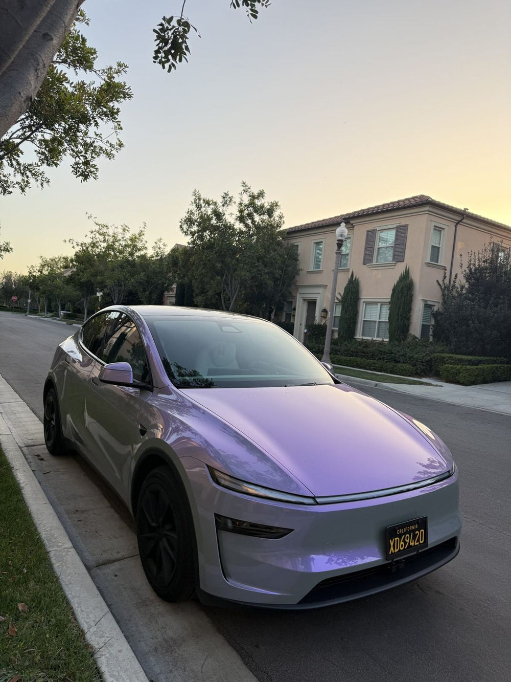 Model Y · Color-Shift Purple