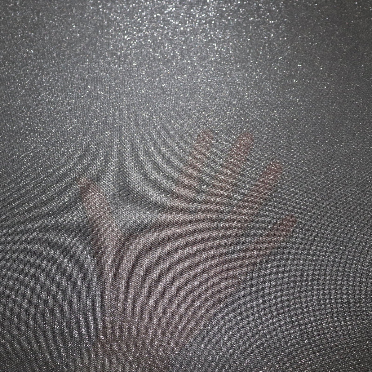 Glass Roof Window Sunshade